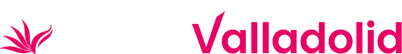 Logotipo de TodoenValladolid